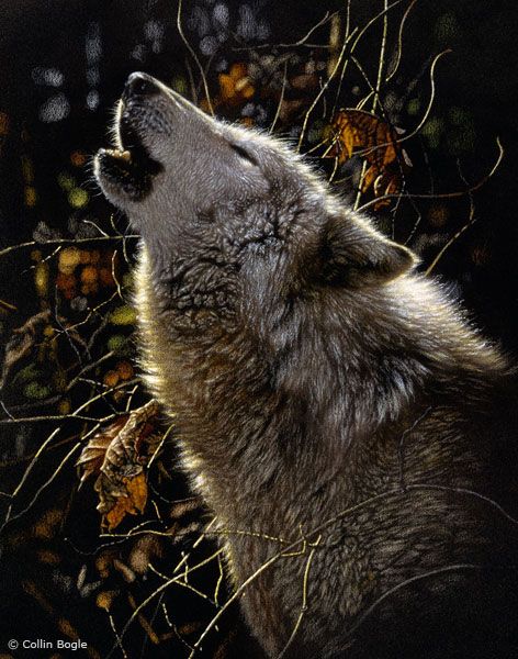 472x600 Howling Wolf Wildlife Painting Art Print. Wolves My Spirit - Howling Wolf Painting