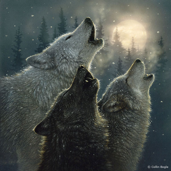 600x600 Wolf Paintings, Wolf Art Prints, Wolves Painting Artist - Howling Wolf Painting