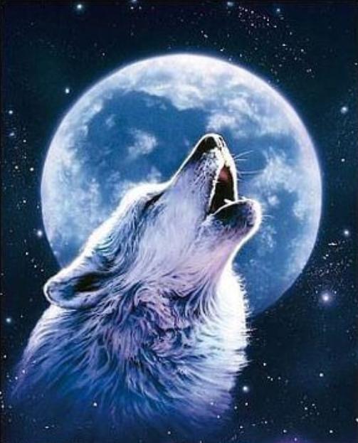 503x623 Mosaic Diamond Needlework Cross Stitch Diamond Painting Wolf - Howling Wolf Painting