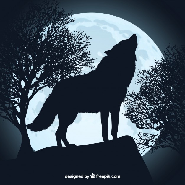 626x626 Wolf Vectors, Photos And Psd Files Free Download - Howling Wolf Silhouette Painting