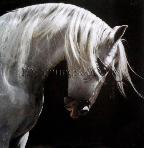 489x500 Framed Huge Modern Horse Handmade Canvas Oil Painting For Sale - Huge Horse Painting