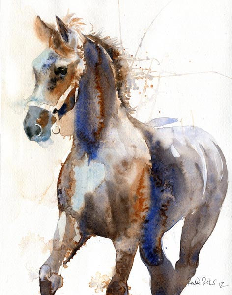 472x600 Friesian Horse Art Morgan Warmblood Yearling Print Of A Watercolor - Huge Horse Painting