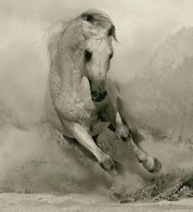 273x300 Modern Abstract Huge Canvas Art Hand Oil Painting Horse (No Frame - Huge Horse Painting