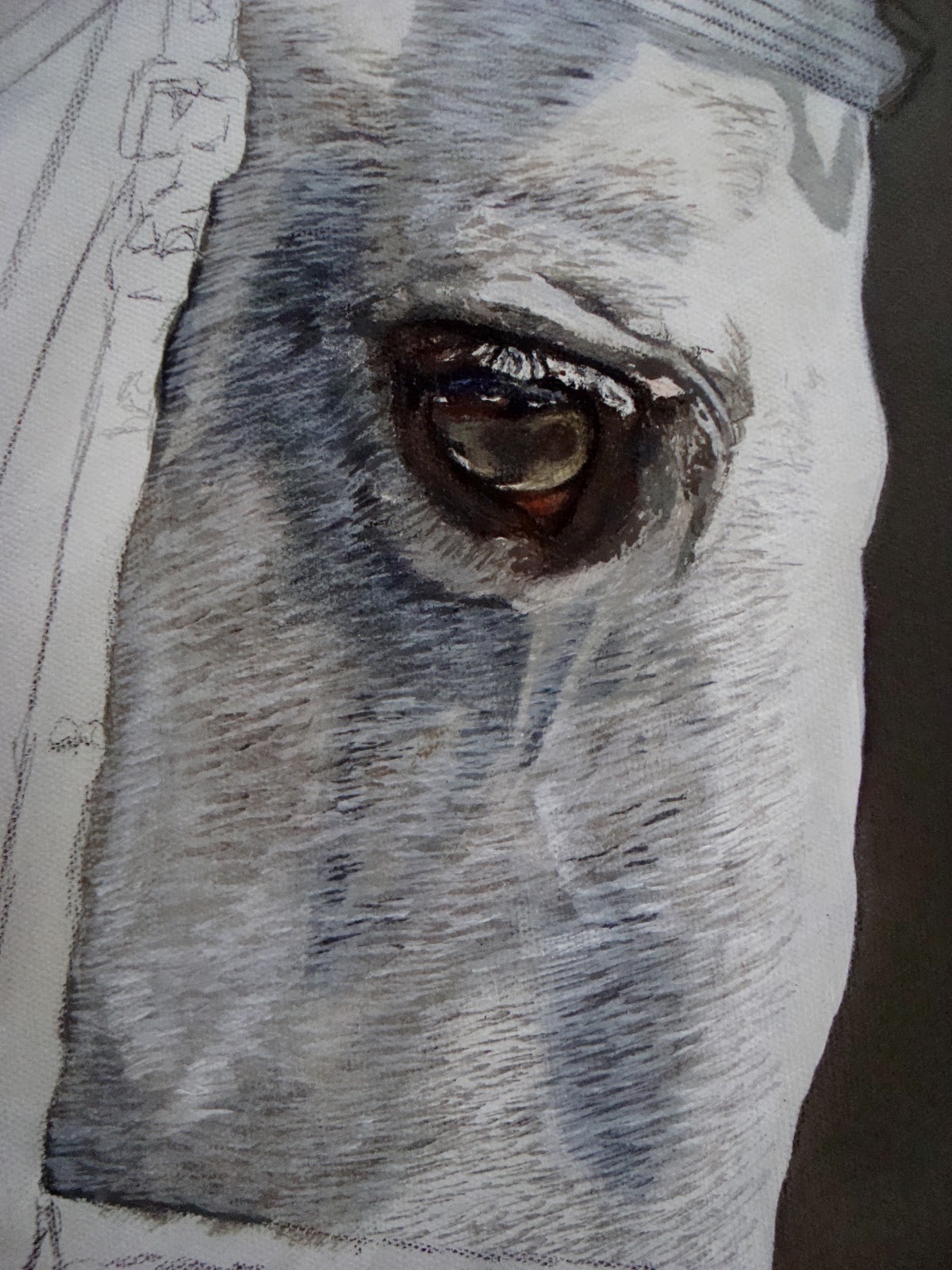 1200x1600 Portraits By Kim Large Grey Horse - Huge Horse Painting