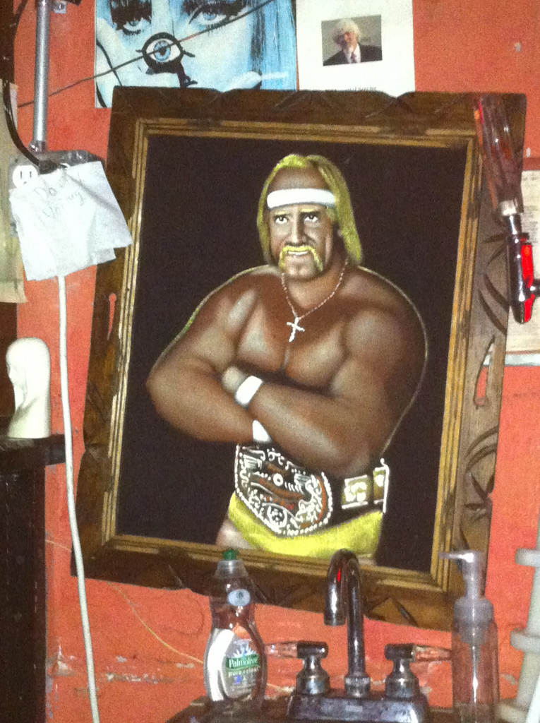 765x1024 Hulk Hogan Velvet Painting Prehensile Eye - Hulk Hogan Painting