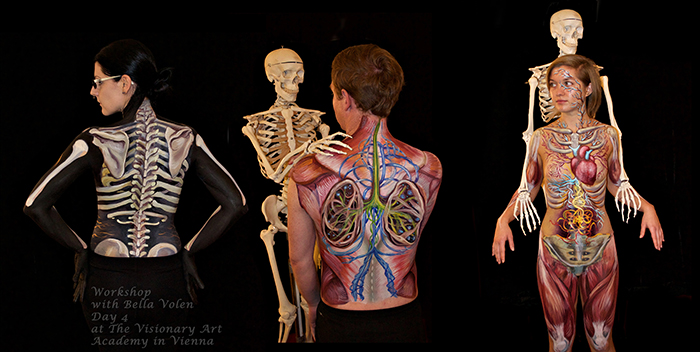 700x352 Body Painting Classes Art Workshops Painting Amp Drawing Classes - Human Anatomy Painting