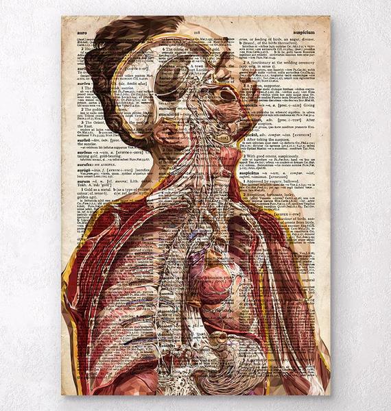 570x600 Body Anatomy - Human Anatomy Painting