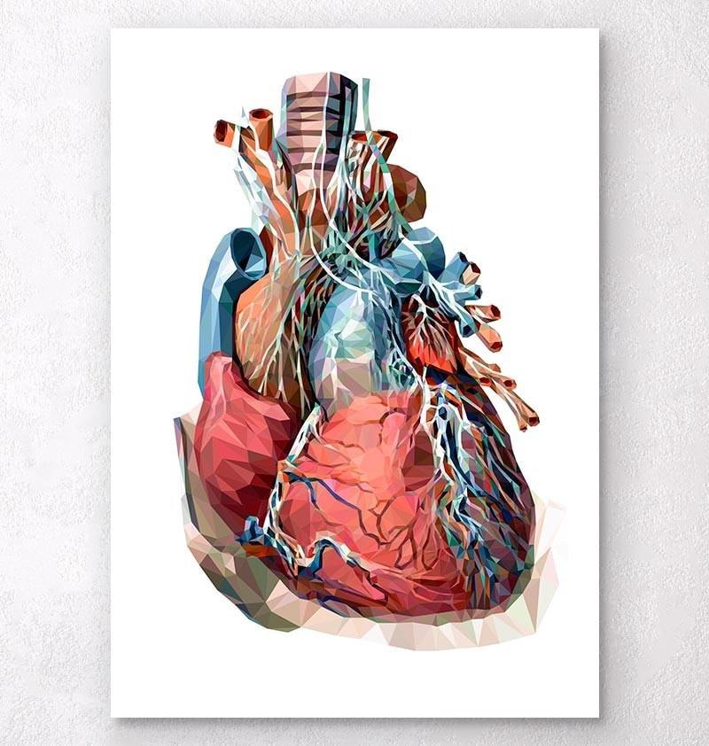 800x842 Anatomy Art, Gifts For Doctors Amp Quirky Home Decor - Human Anatomy Painting