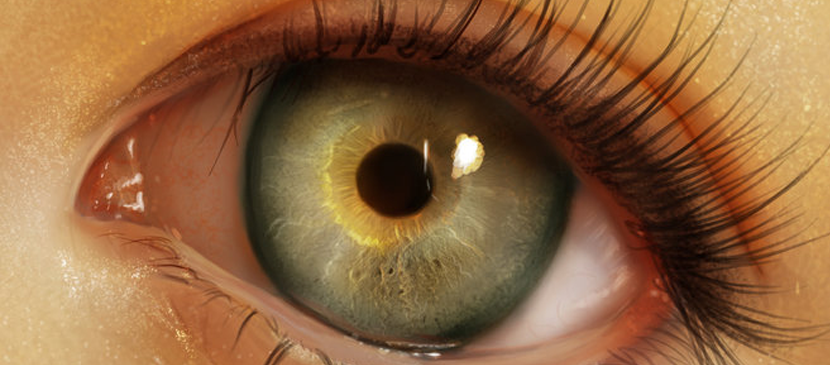 830x365 How To Paint A Realistic Human Eye - Human Eye Painting