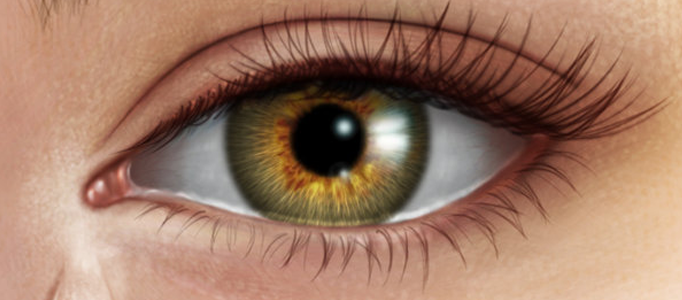682x300 Human Eye Creation Using Photoshop - Human Eye Painting
