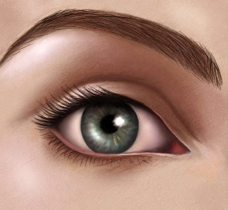 323x298 Photoshop Tutorials How To Paint A Human Eye Tutorial - Human Eye Painting