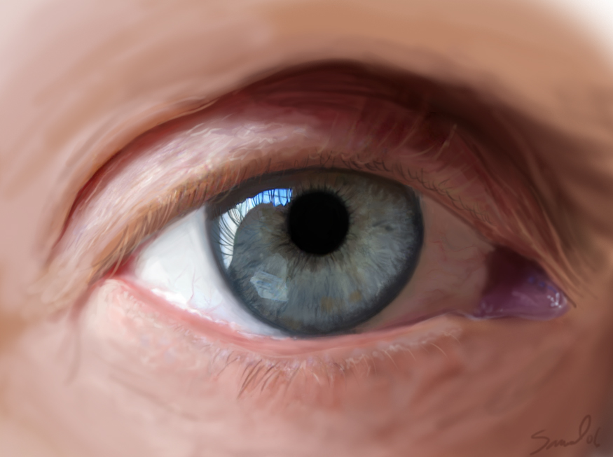 875x653 The Eye By Samuelgrayart - Human Eye Painting