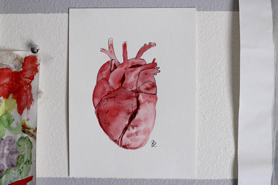 570x380 Human Heart Watercolor Painting - Human Heart Painting