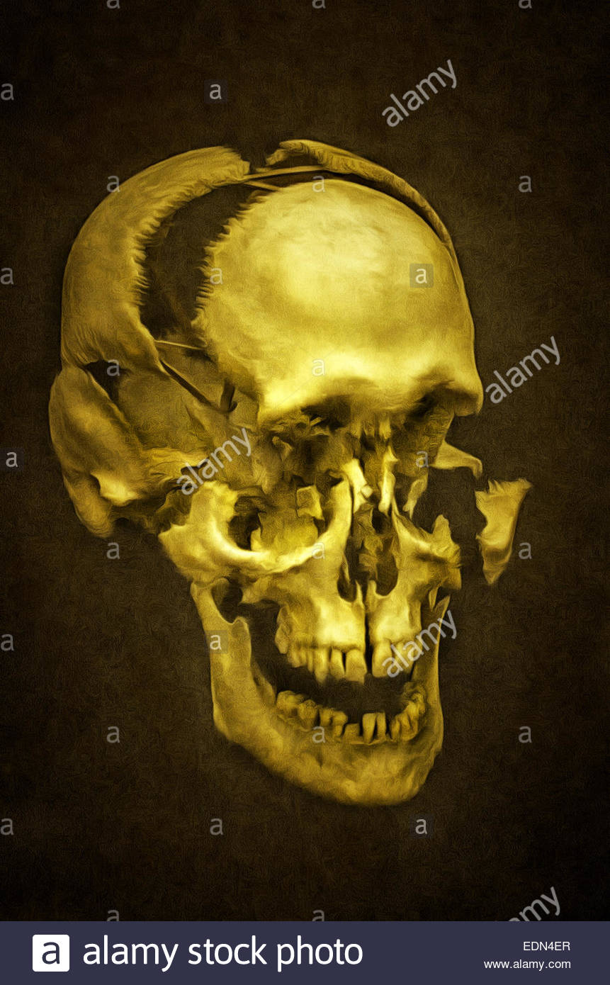 861x1390 Illustration Of A Human Skull, Skeleton, Dead Head, Painting Stock - Human Skull Painting