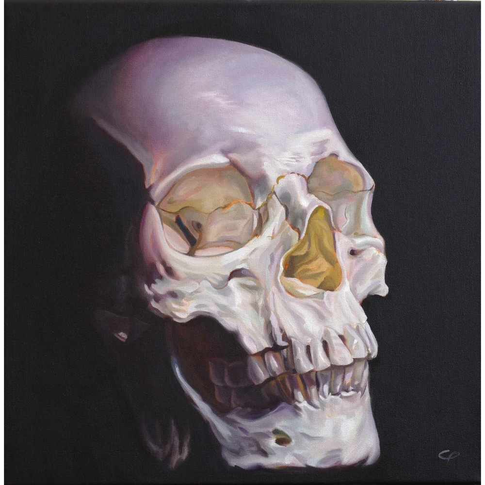 Skull Sale Over - Human Skull Painting. 