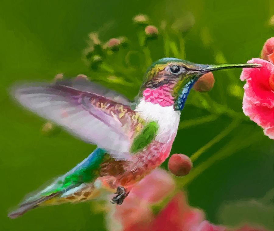 900x759 Hummingbird And Flower Painting Painting By Dr Bob Johnston - Hummingbird And Flower Painting