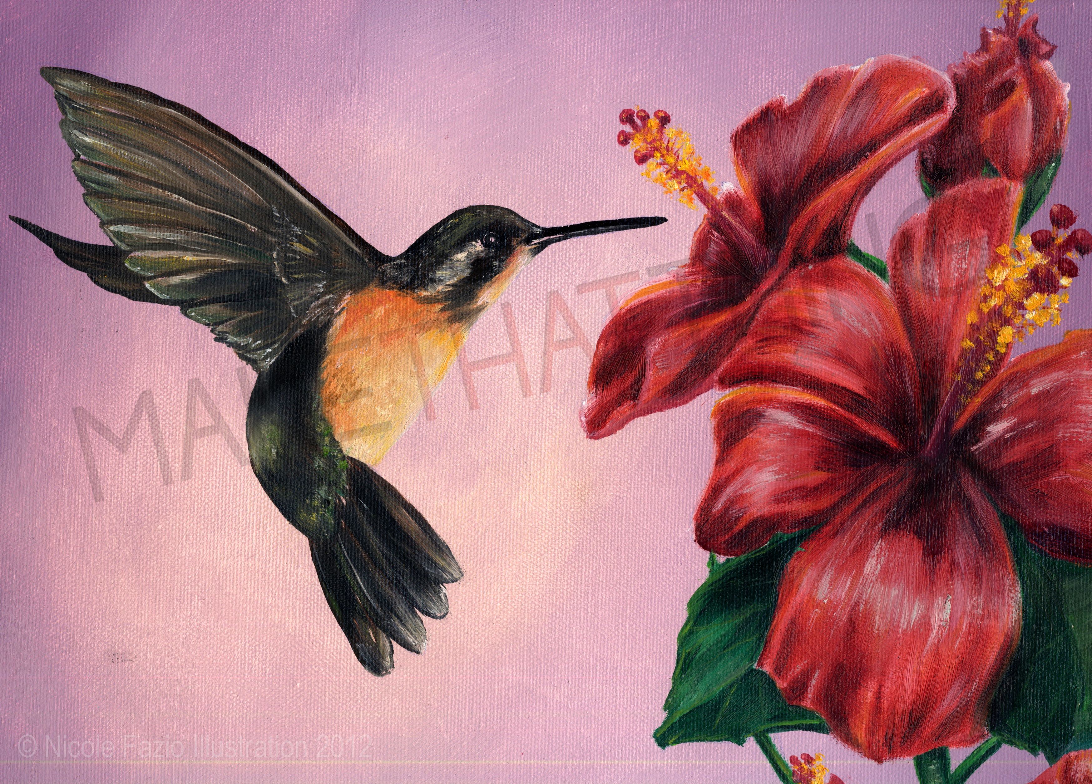 3497x2512 Hummingbird Oil Painting Hummingbird, Paintings And Hummingbird - Hummingbird And Flower Painting
