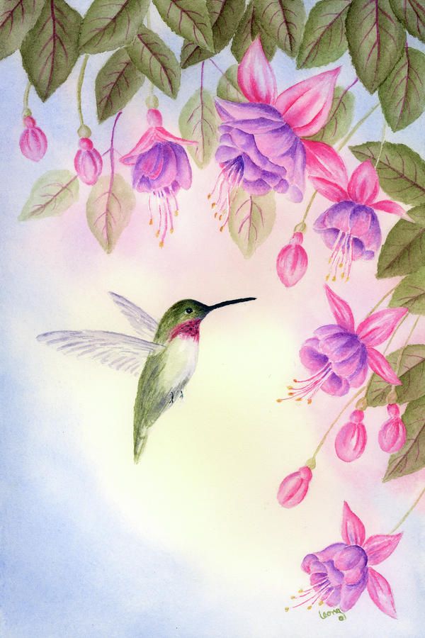 600x900 Hummingbird With Fuchsia Painting - Hummingbird And Flower Painting