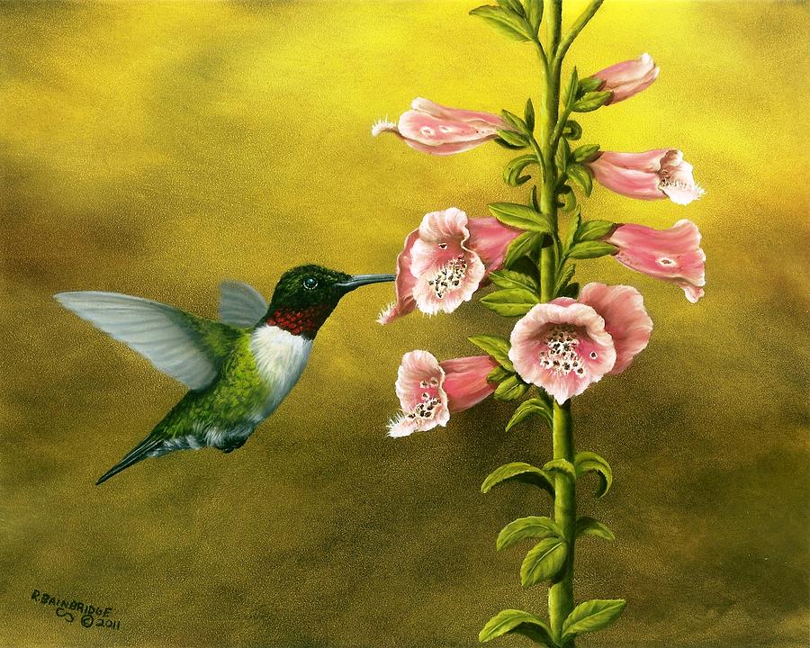 900x720 Ruby Throated Hummingbird And Foxglove Painting By Rick Bainbridge - Hummingbird And Flower Painting