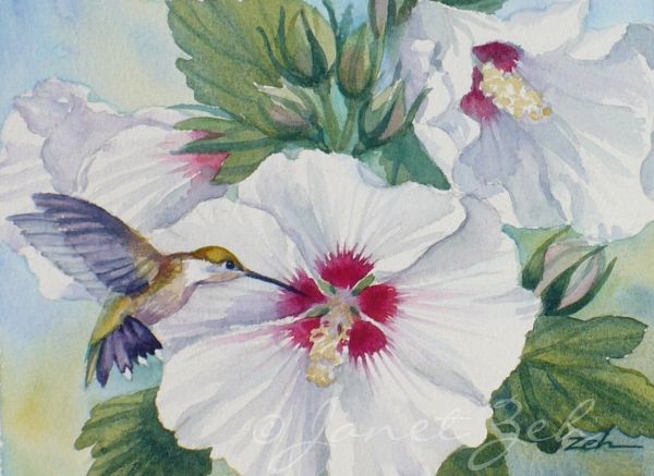600x437 Painting Hibiscus Bush - Hummingbird And Flower Painting