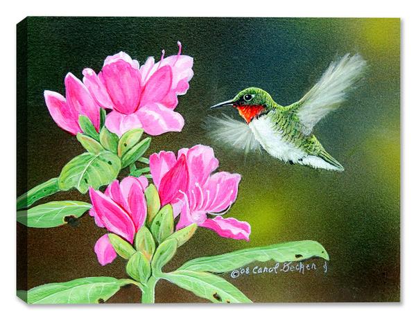 600x462 Flower Paintings - Hummingbird And Flower Painting