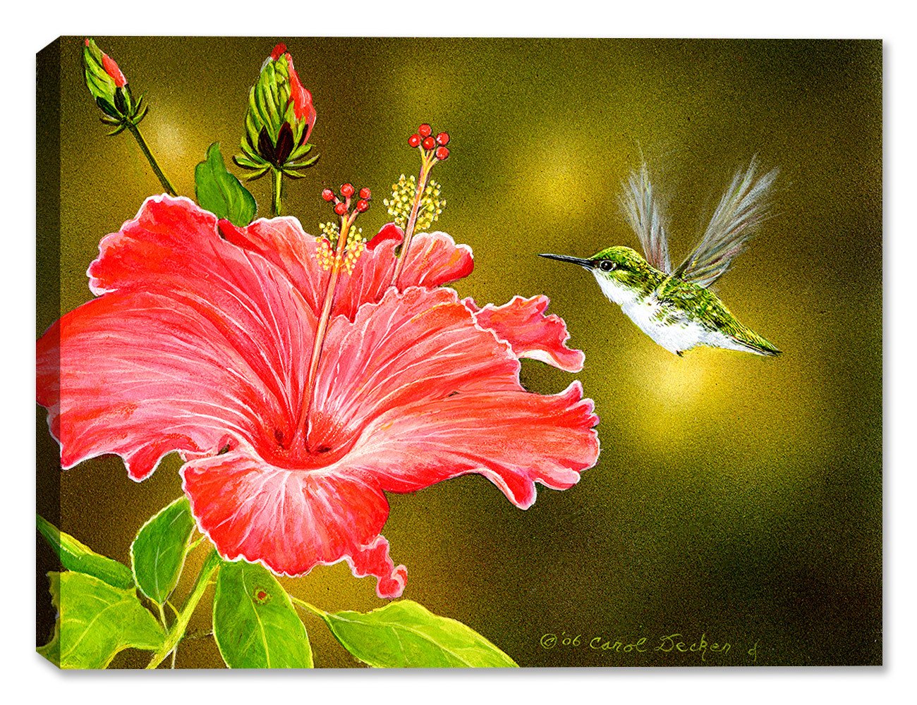 1300x1000 Hummingbird Amp Hibiscus - Hummingbird Canvas Painting