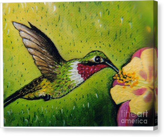 546x455 Jack's Hummingbird Painting By William Ohanlan - Hummingbird Canvas Painting