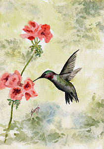 210x300 Hummingbird Flower Paintings - Hummingbird Flower Painting