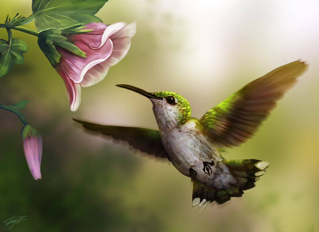 1047x763 Hummingbird By Ruth Tay - Hummingbird Flower Painting