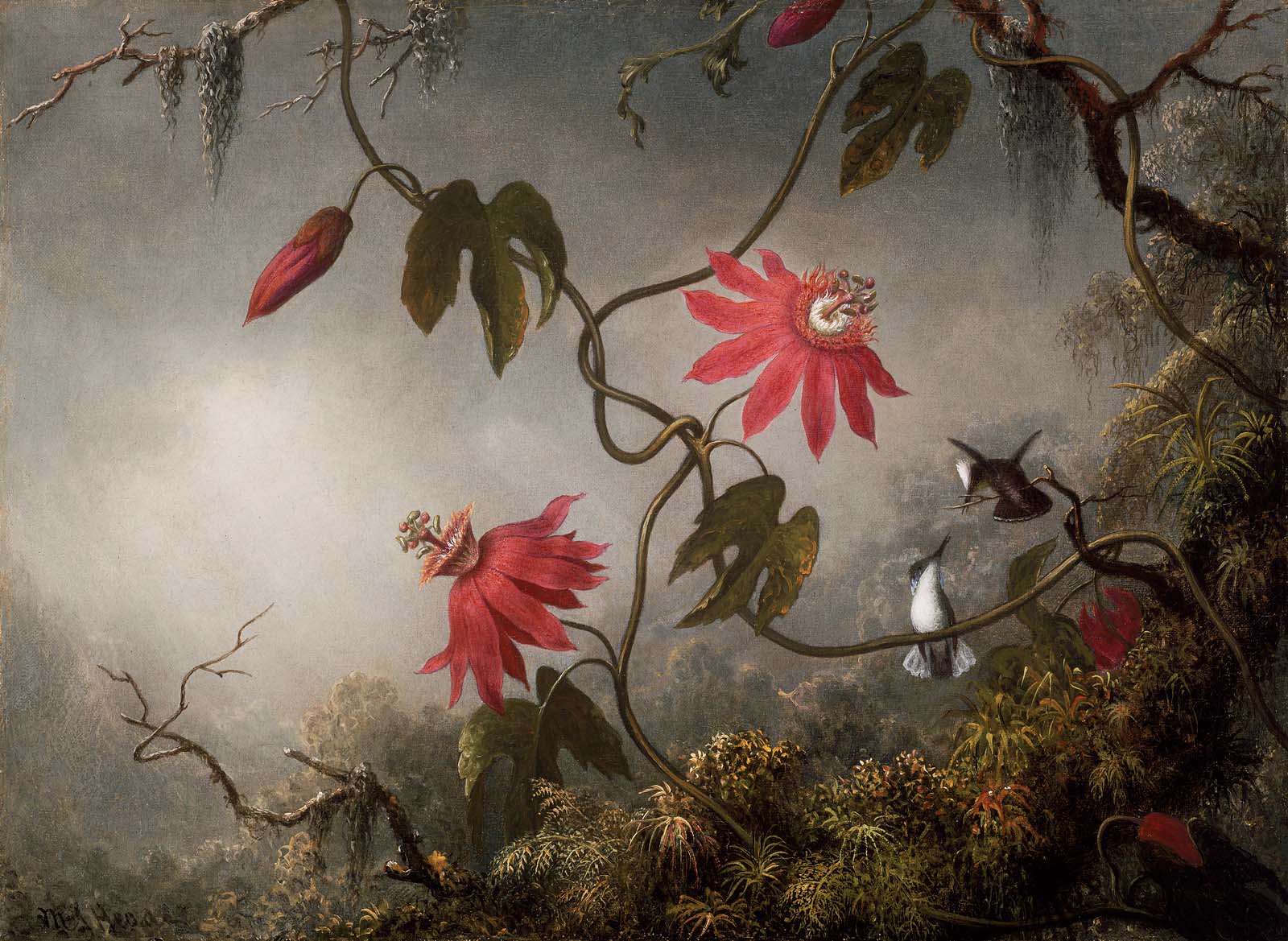 1600x1169 Passion Flowers And Hummingbirds Museum Of Fine Arts, Boston - Hummingbird Flower Painting