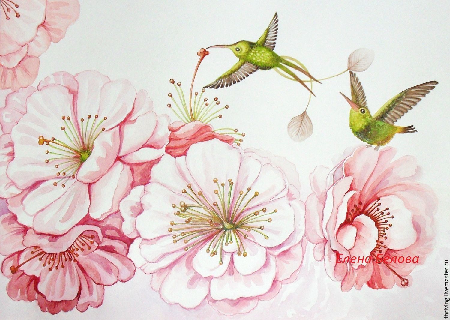 1500x1067 Picture A Hummingbird In A Flowering Garden In The Living Room - Hummingbird Flower Painting