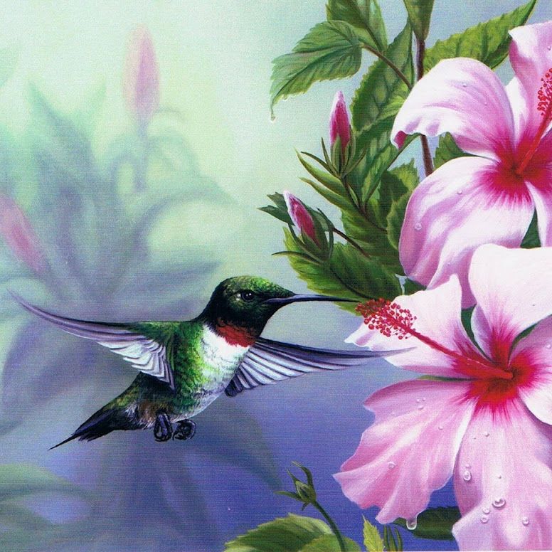 776x776 Pin By Nedra Dantes On Art Hummingbird, Humming - Hummingbird Flower Painting