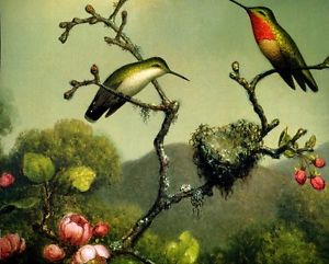 300x241 Ruby Throat Hummingbird Flower North America Painting Martin - Hummingbird Flower Painting
