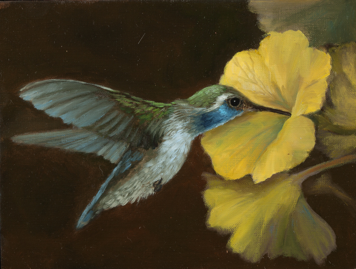 1200x908 Animal Oil Paintings Hummingbird With Yellow Flower By Mary Kay - Hummingbird Flower Painting