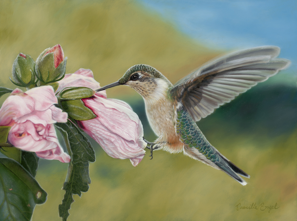 1024x763 A Female Ruby Throated Hummingbird Oil Painting By - Hummingbird Oil Painting