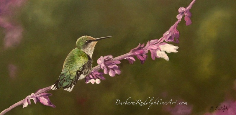 800x390 Barbara Rudolph Fine Art Hummingbird - Hummingbird Oil Painting