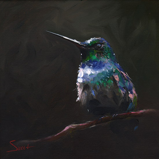 550x550 Blue Chested Hummingbird Print Watercolor Animal Paintings - Hummingbird Oil Painting