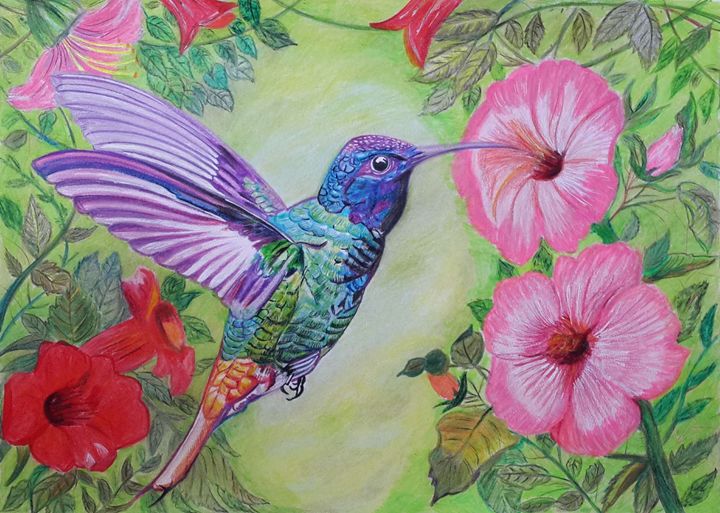 720x513 Hummingbird Painting - Hummingbird Painting