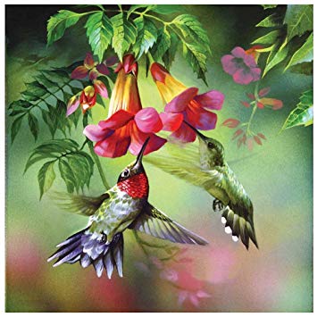 355x355 Glymg 5d Diy Diamond Painting Kit Hummingbird - Hummingbird Painting
