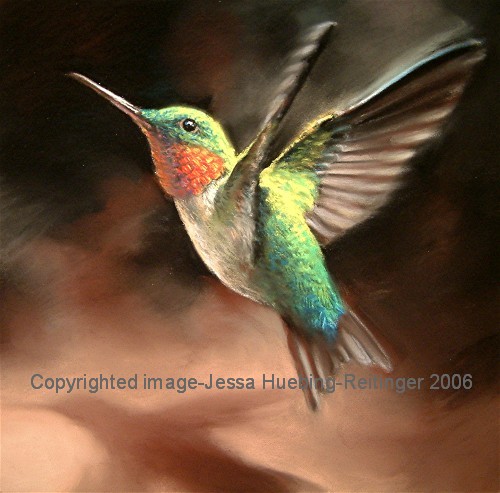 500x493 Project Insect Llc Creation Of A Hummingbird Painting - Hummingbird Painting