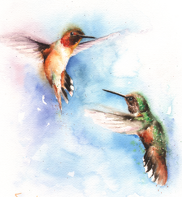 700x756 Rufous Hummingbird Watercolor Print Watercolor Animal Paintings - Hummingbird Painting