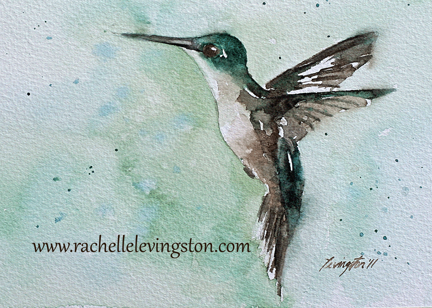 1500x1071 Sale Watercolor Painting Bird Hummingbird Painting Print - Hummingbird Painting