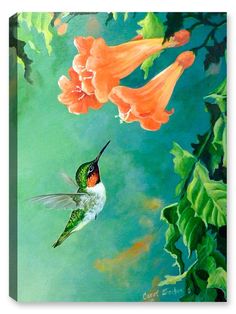 236x314 Hummingbird Paintings Hummingbird With Hibiscus Painting By - Hummingbird Painting