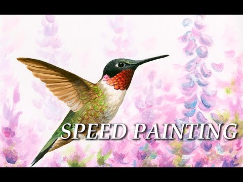 480x360 Hummingbird Speed Painting Using Acrylic Paints - Hummingbird Painting Acrylic