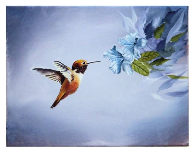650x510 Hummingbird With Blue Hibiscus Flowers By Velvet Tetrault - Hummingbird Painting Acrylic