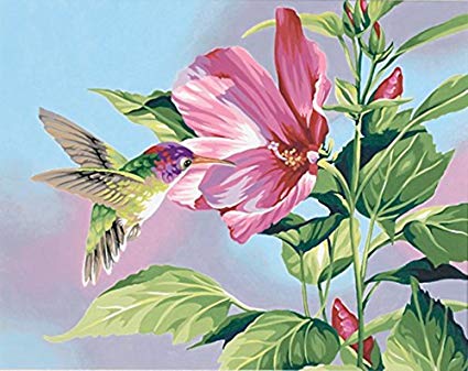 425x337 Diy Painting By Number Kit Hibiscus Hummingbird 16x20 - Hummingbird Painting Acrylic
