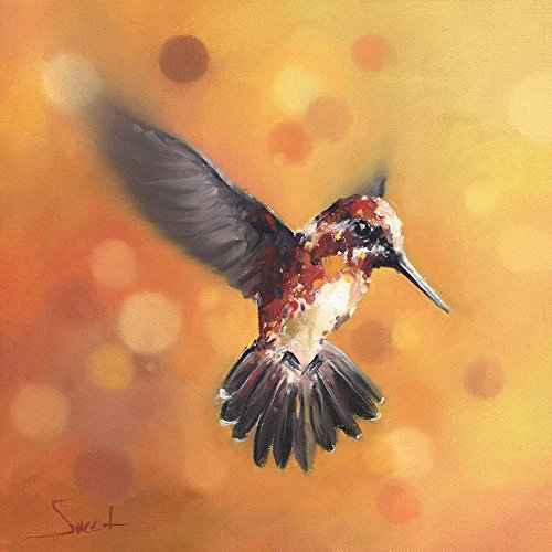 500x500 Orange Hummingbird Oil Painting Print Handmade - Hummingbird Painting Images