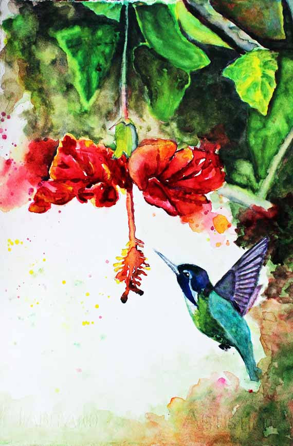 570x868 Hummingbird Watercolor Painting Bird Painting Watercolor Art - Hummingbird Watercolor Painting