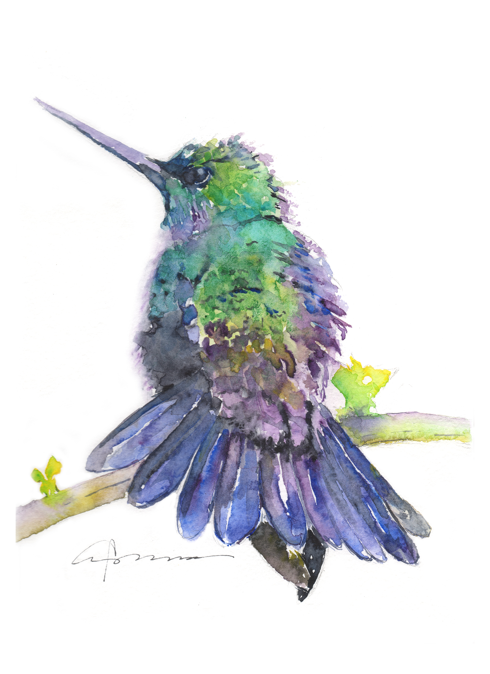 1600x2200 Hummingbird Watercolor Painting - Hummingbird Watercolor Painting