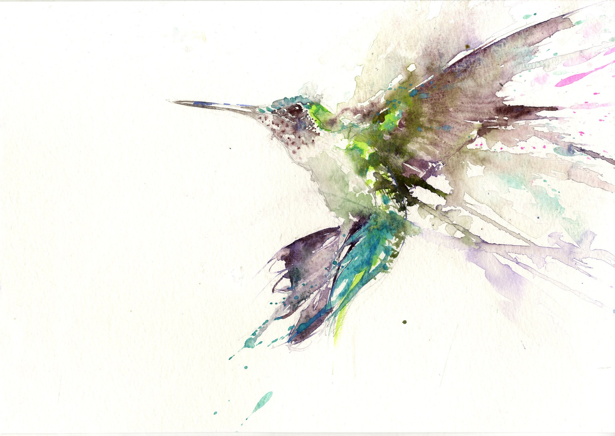 2048x1450 Jen Buckley Art Signed Limited Edition Print Of My Original Hummingbi - Hummingbird Watercolor Painting